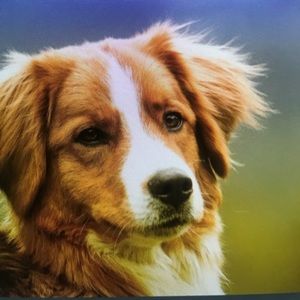 Meet your Posher, Ezekiel